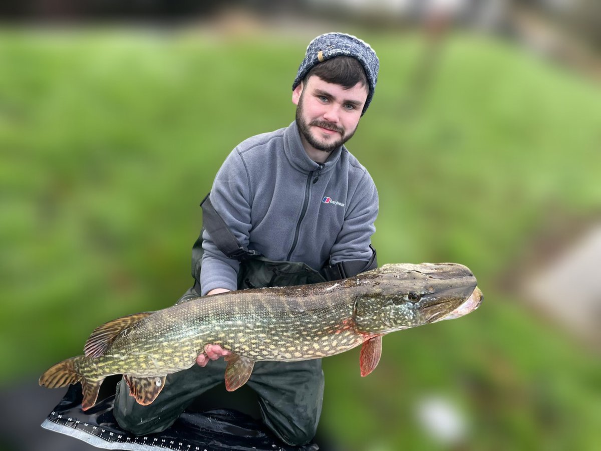 LiamBren1245's tweet image. New PB 20 lb pike caught today. The monster was caught using a running ledger rig with mackerel deadbait. #BOFFFF #pike #fishing #Angler