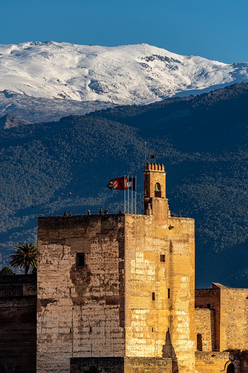 张炜磊 tweet media