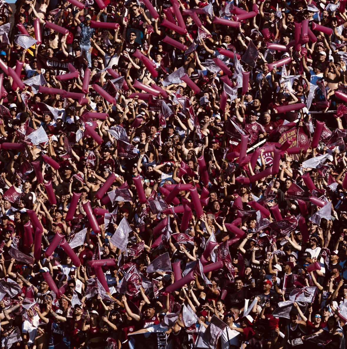 alex_cevallos2's tweet image. Lanús campeón! @Sudamericana