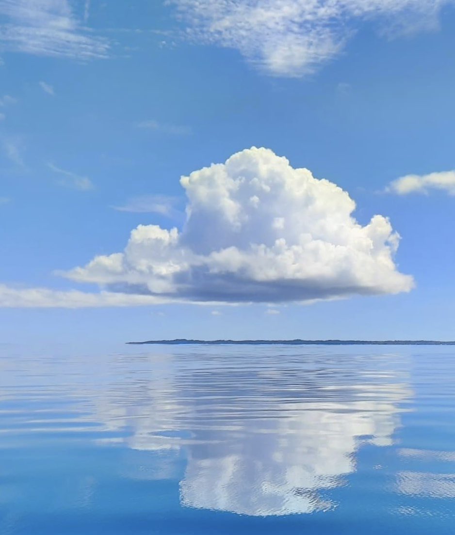 nauru_japan's tweet image. おはようございます。リツイートしてくれた方が幸運になりますように🙏
  ＿＿
｜幸｜
｜運｜
  ￣￣