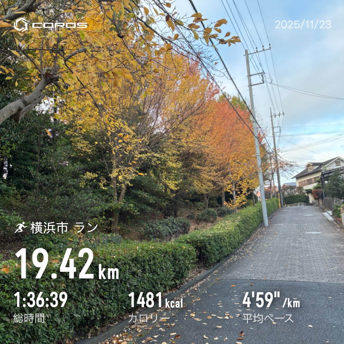 runycorrer's tweet image. ラン
　E96分
　(11月合計249km / T152分 / M55分)
#サブエガ  #coros #pacepro