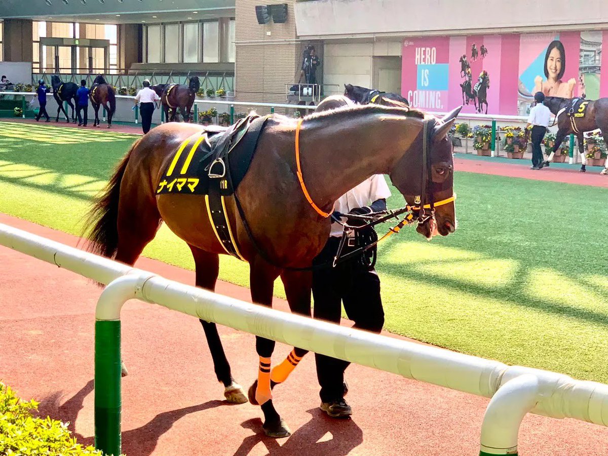 💙🦈あーちゃん💙🦈 (@achan0fuurin) / Posts / X