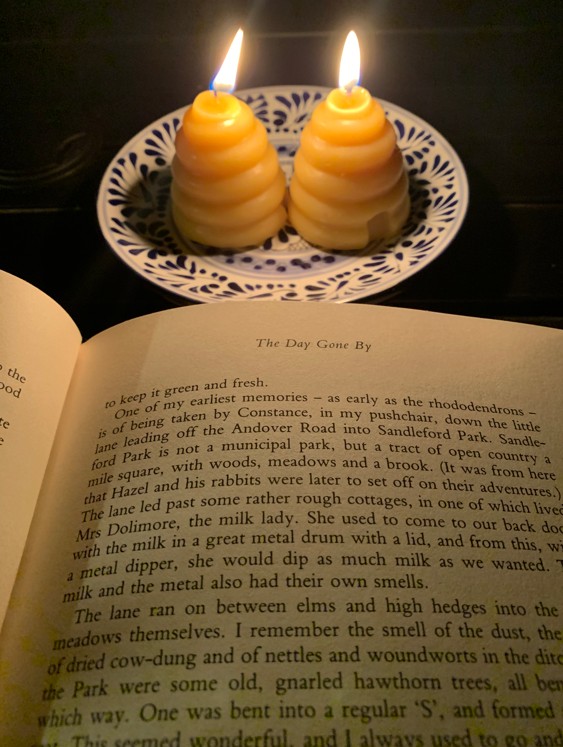 JohnCFarrier's tweet image. I am delighted to use pure beeswax candles made by @OldHollowTree and @LadyHollowTree. They&apos;re perfect for reading on the porch at night. 

The ambience they exude inspired me to read a selection from the autobiography of Richard Adams.

hummingmeadowhoney.com/collections/all