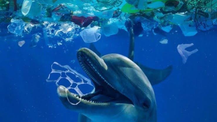 Microplast25262's tweet photo. Los microplásticos son un problema emergente porque su presencia ha aumentado rápidamente, se dispersan por agua, aire y suelo, dañan especies y ecosistemas, y ya se encuentran en alimentos y agua potable.  🌎⚠️
#Microplásticos #Contaminación #Ambiente #Salud #Sostenibilidad https://t.co/hyHN70tamG