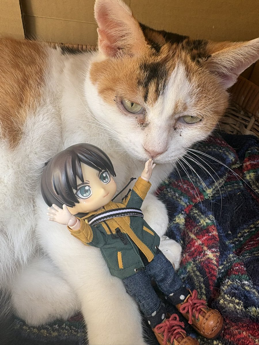 猫ミミ流奈です 猫ミミ流奈です 猫ミミ流奈です カード検索 ｜ Z/X - Zillions of