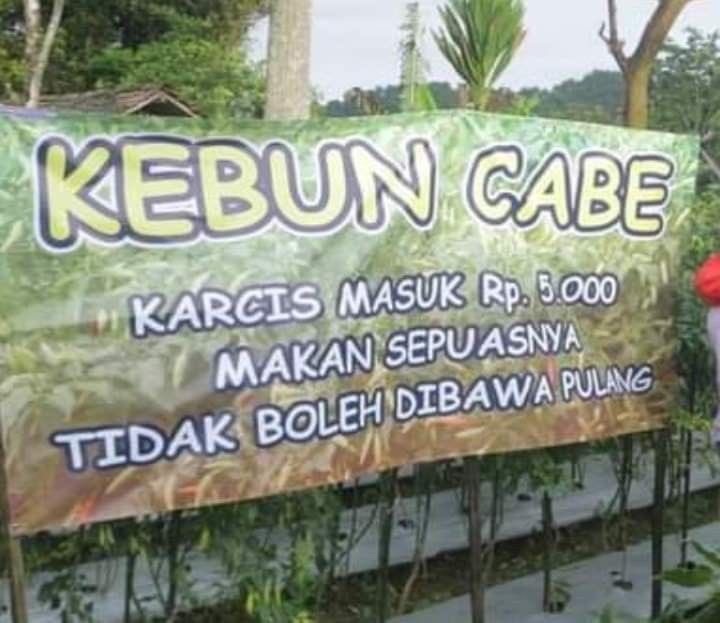 KOS (Komunitas Orang Sinting) (@qrivasi) on Twitter photo 