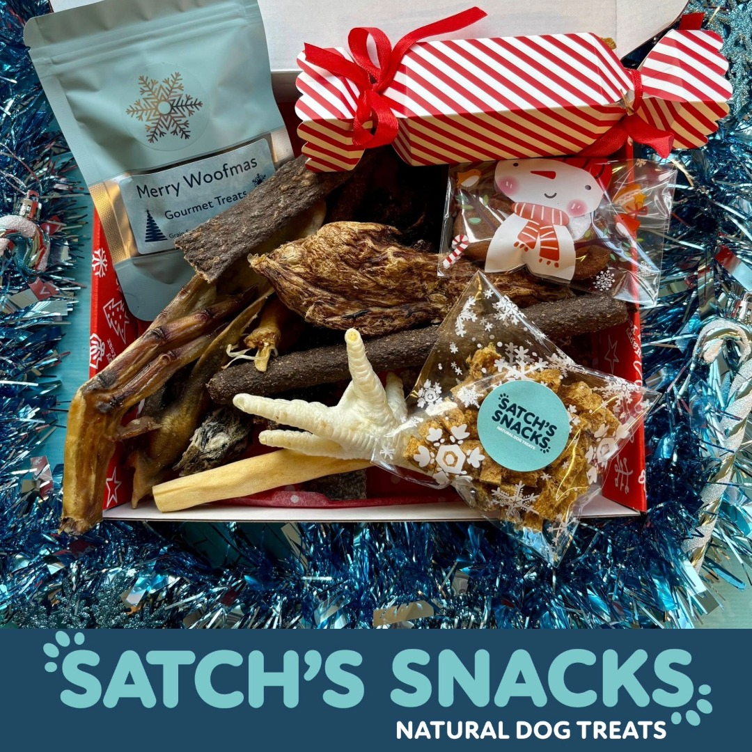 🦌🎄 Bring the magic of Santa Paws to life this Christmas for your pets with Satch's natural dog treats💫

#dogslife #cheltenhamanimalshelter #dogsofinstagram #dogs #dogfriendly #dogfriendlycotswolds #doglovers #bemorebob #dogsofcheltenham #satchssnacks_naturaldogtreats
