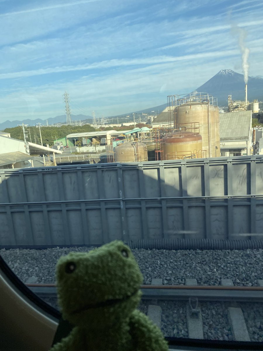 minexon's tweet image. わーい、わーい！カエルちゃんと一緒にわほほできたよ。