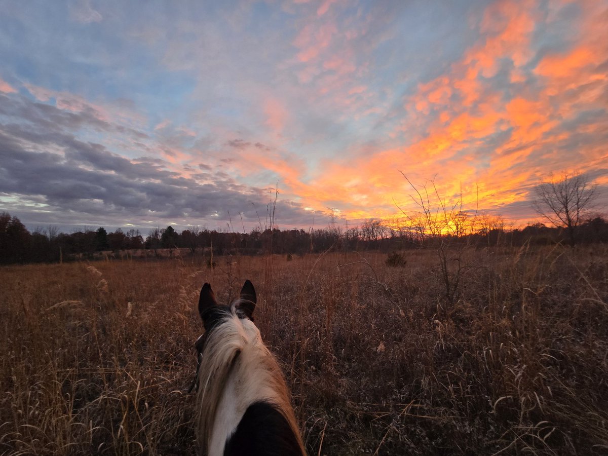 That sunset though 😍 unbeatable