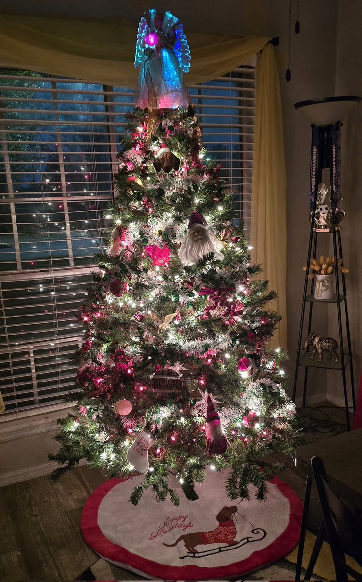 itzgchap's tweet image. It&apos;s beginning to look a &apos;little&apos; like Christmas!🎄The ONLY reason I put up a tree this year is because the kiddo wanted me to. I cut my ornaments down by HALF. Christmas just came TOO fast this year! #Christmas2025 #ChristmasVibes #ChristmasTree