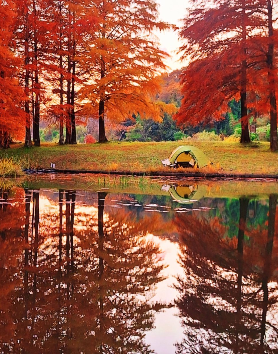 今でしょ。

#紅葉キャンプ