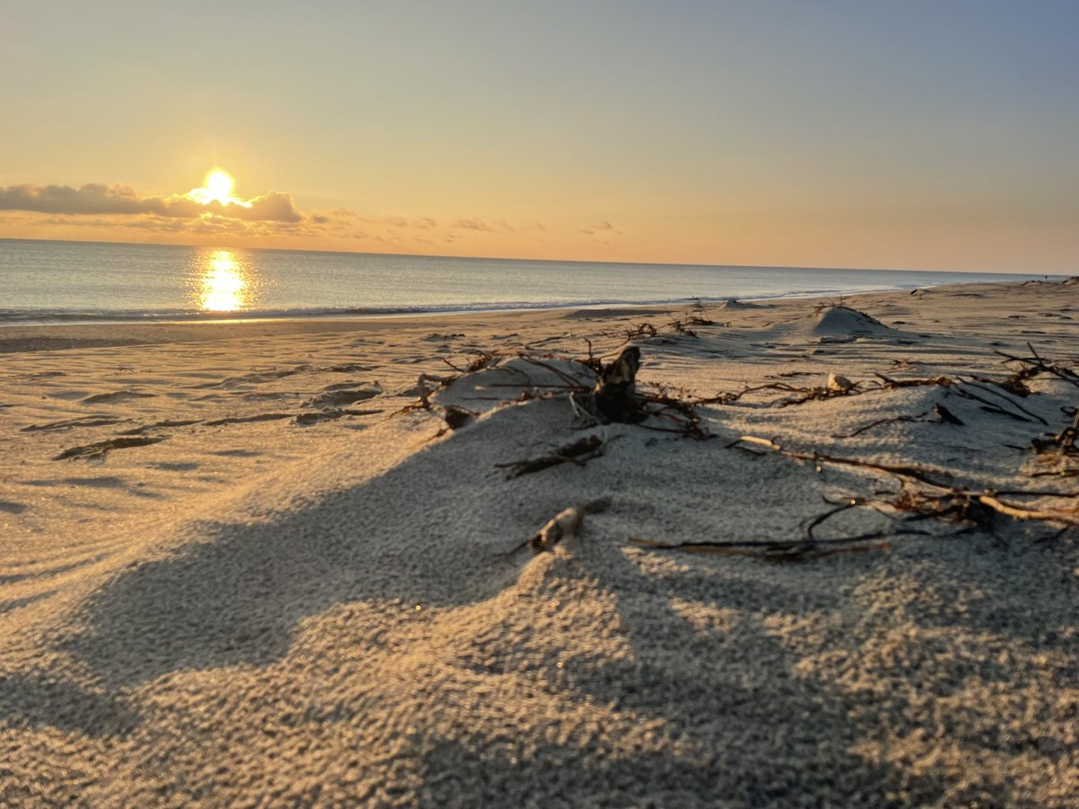 CryptoSignCo's tweet image. The sun finally came out.