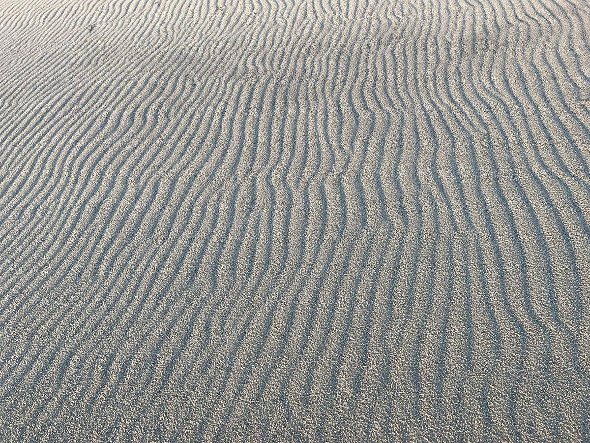 CryptoSignCo's tweet image. One Frequency