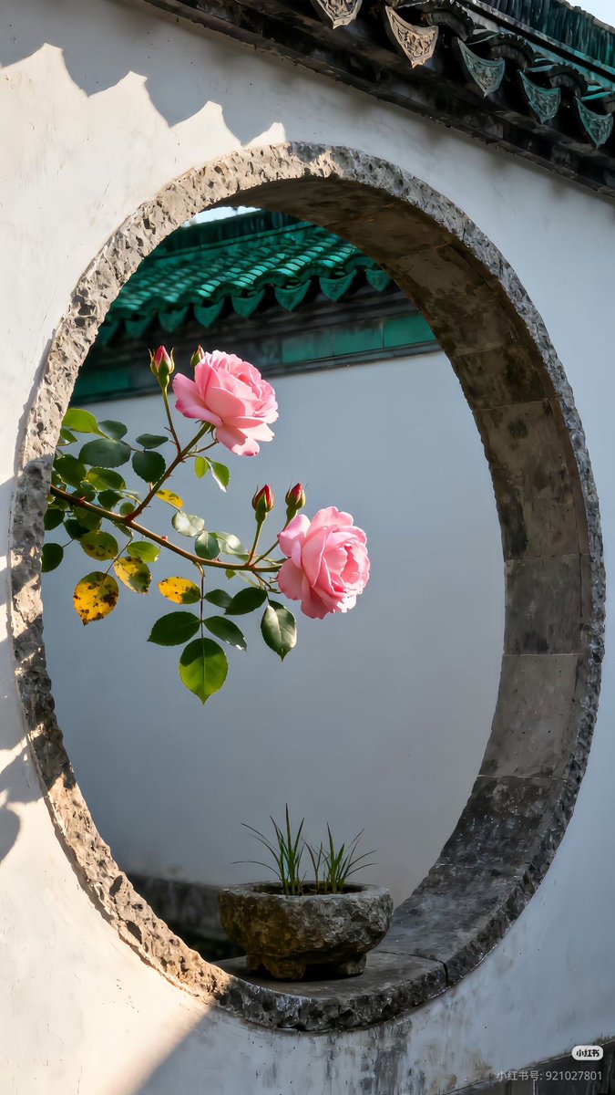 inspéra (@insperarise) on Twitter photo 