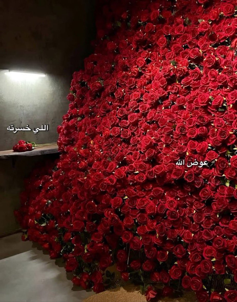 اللي خسرته ! 🤍🤍🤍✨