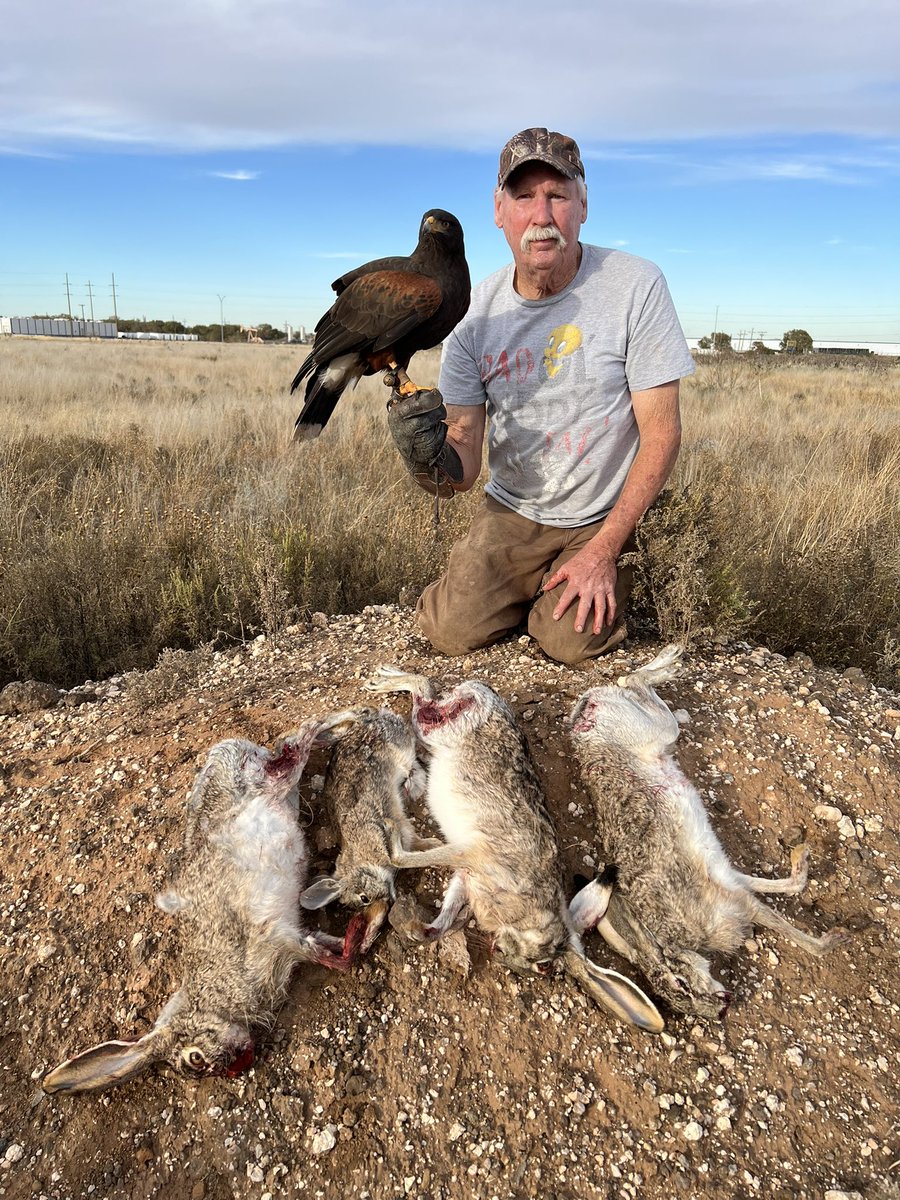 Jennifer Coulson tweet media