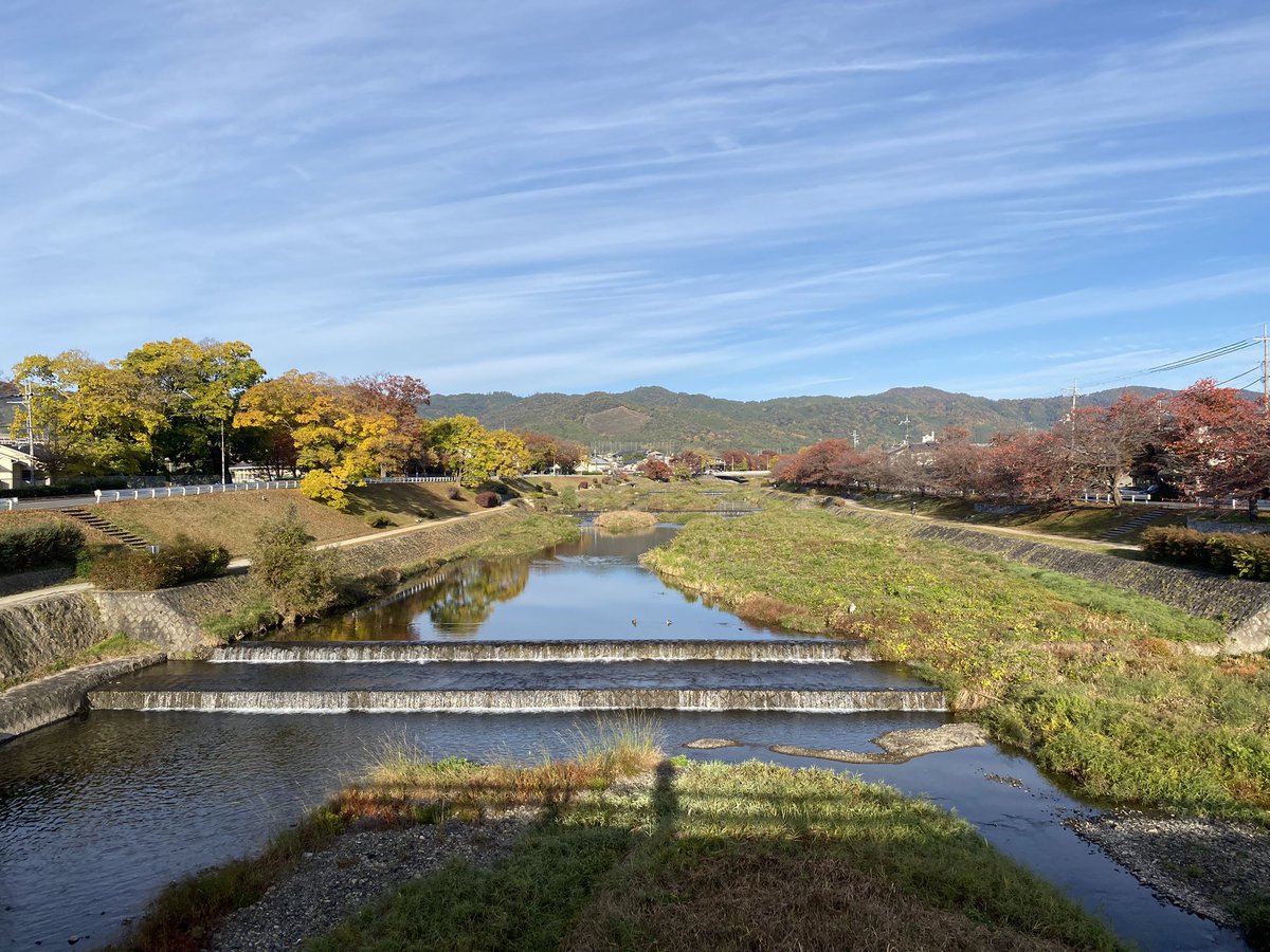 kamokamokai's tweet image. 今日の賀茂川。
2025年11月23日
#Kyoto #kyokamo #鴨川 #京都