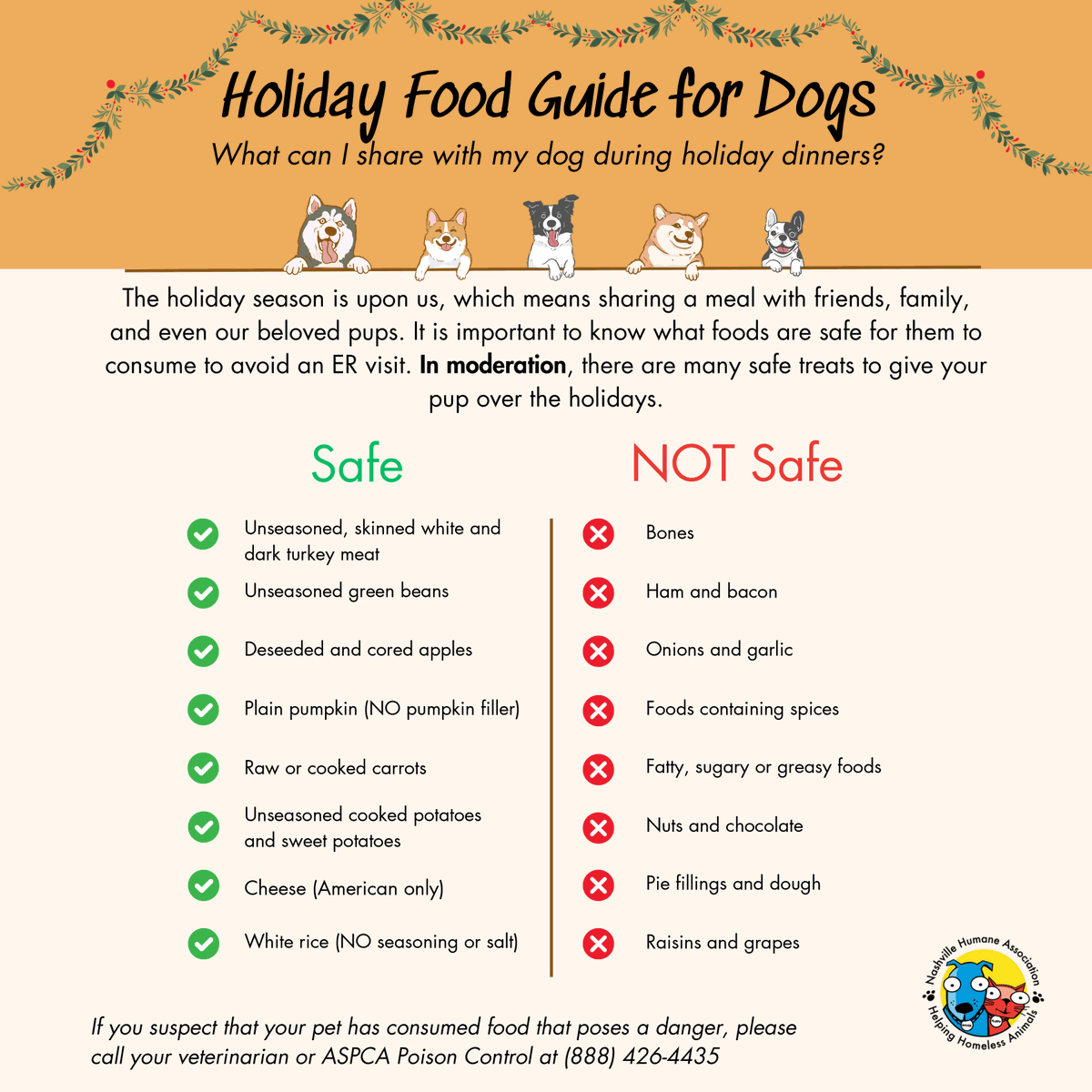 nashvillehumane's tweet photo. Before you give your pet a taste of your favorite holiday dish, knowing what foods are safe for them is important! Refer to these lists to know what foods you can let them enjoy in moderation.⁠🐶🐱⁠ #holidayfood #nashvillehumane https://t.co/vQ9bn9XQQz