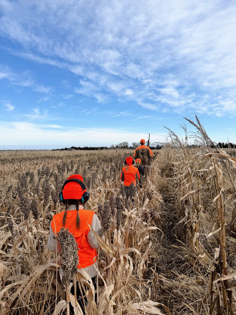 Pheasant season is in full swing and it turns out my grandkids may be better spotters than I am. Grateful to be able to pass down one of SD’s favorite traditions.