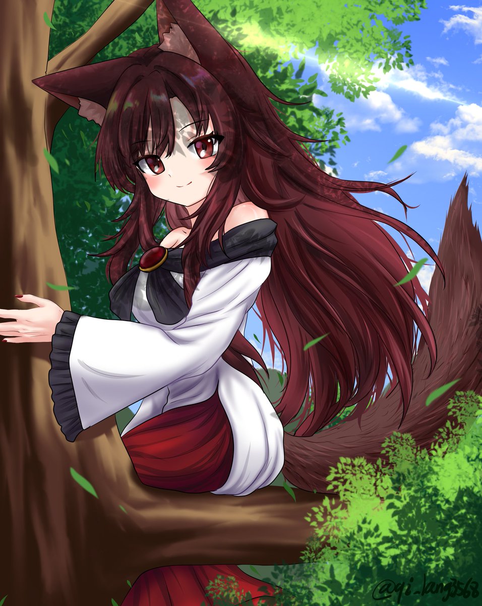 波奇狼 tweet media