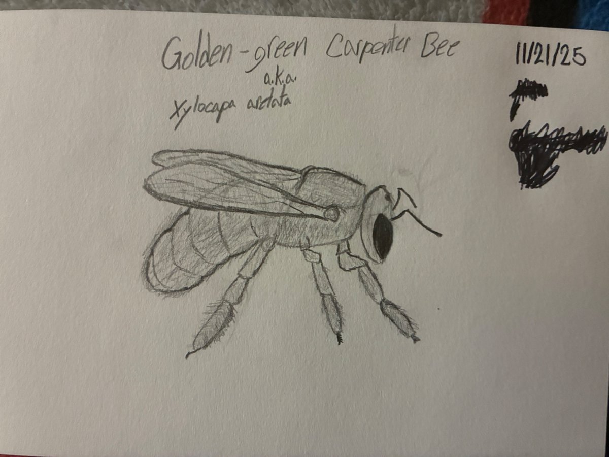 FlashFireNova tweet media