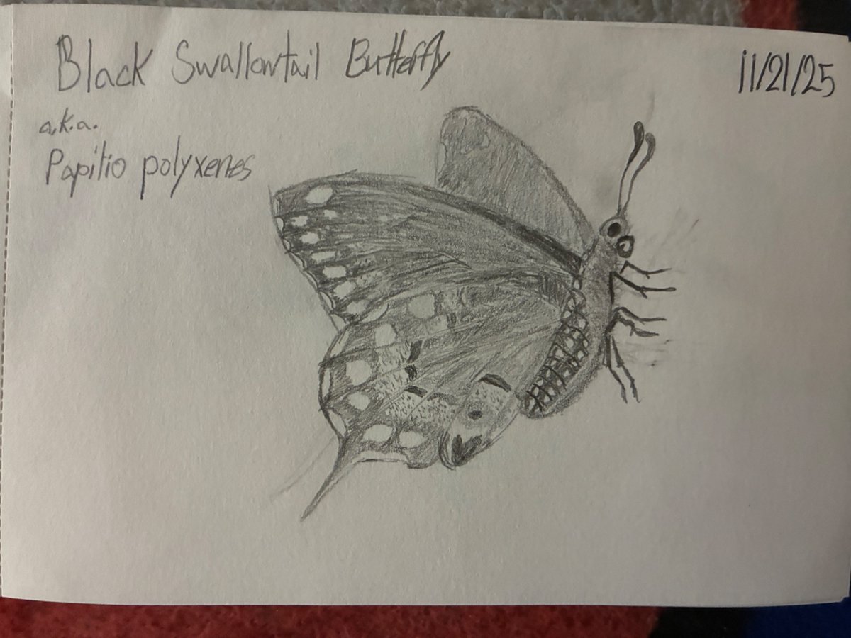 FlashFireNova tweet media