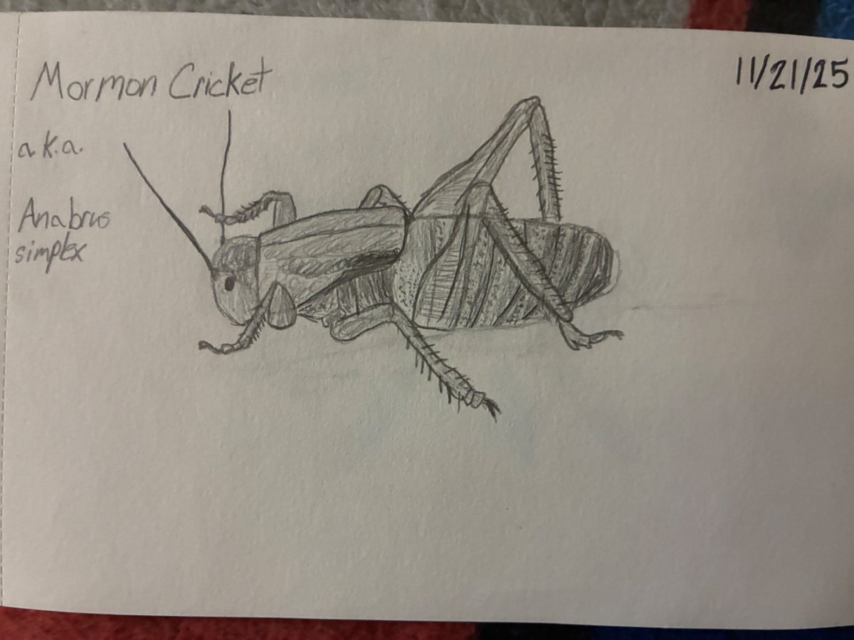 FlashFireNova tweet media