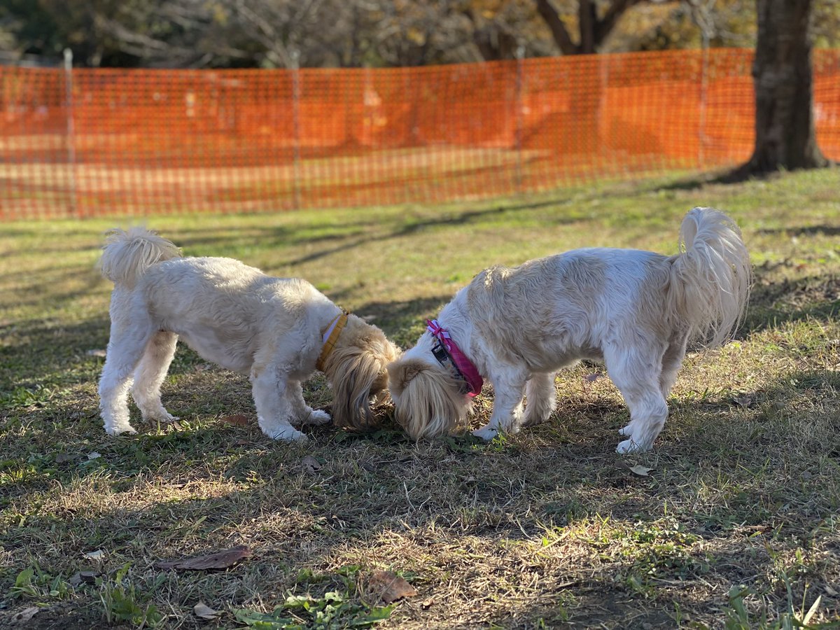 しーしーとらんらんのお家 (@3210yuyagmailc1) / Posts / X