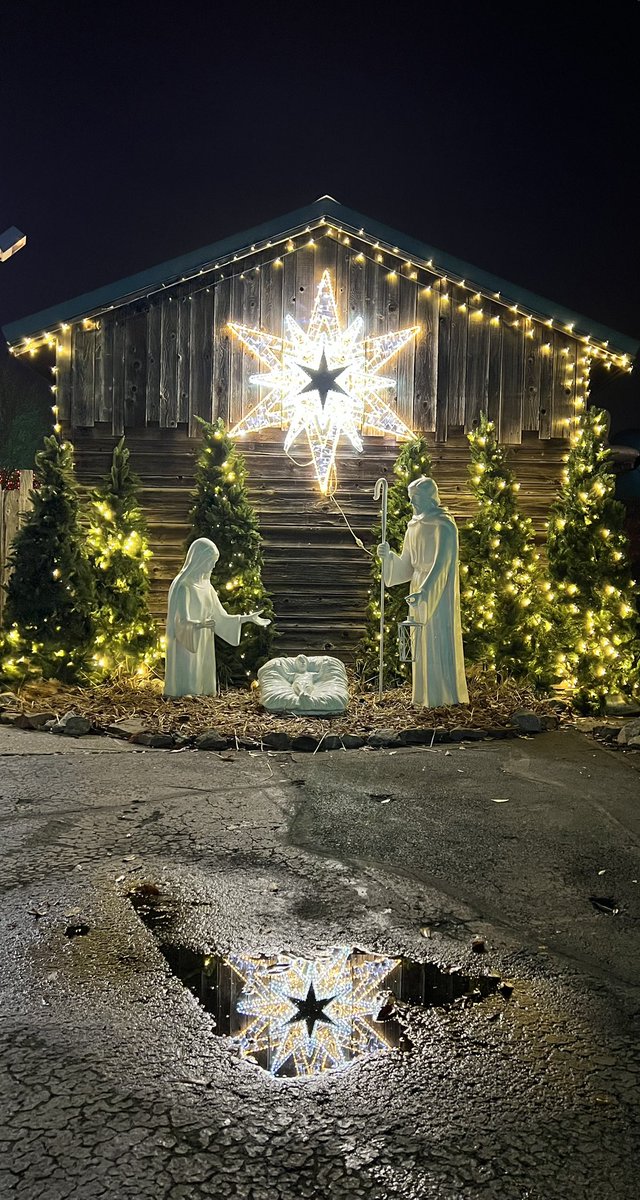 Snapshots Made Yesterday tweet media