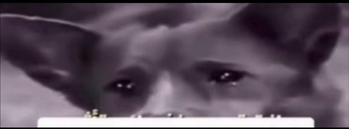 اذا رحت تشوف موقع ناصر ارثر عشان تفضحه
وطلع صدق من نجران ورحمته