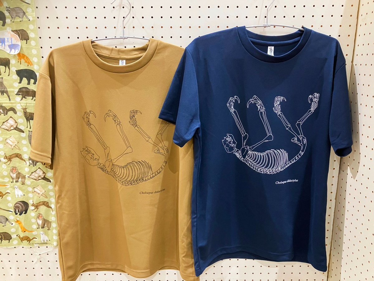 静岡の自然 tweet media