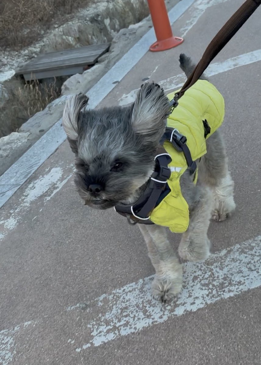 RAD_univ's tweet image. 