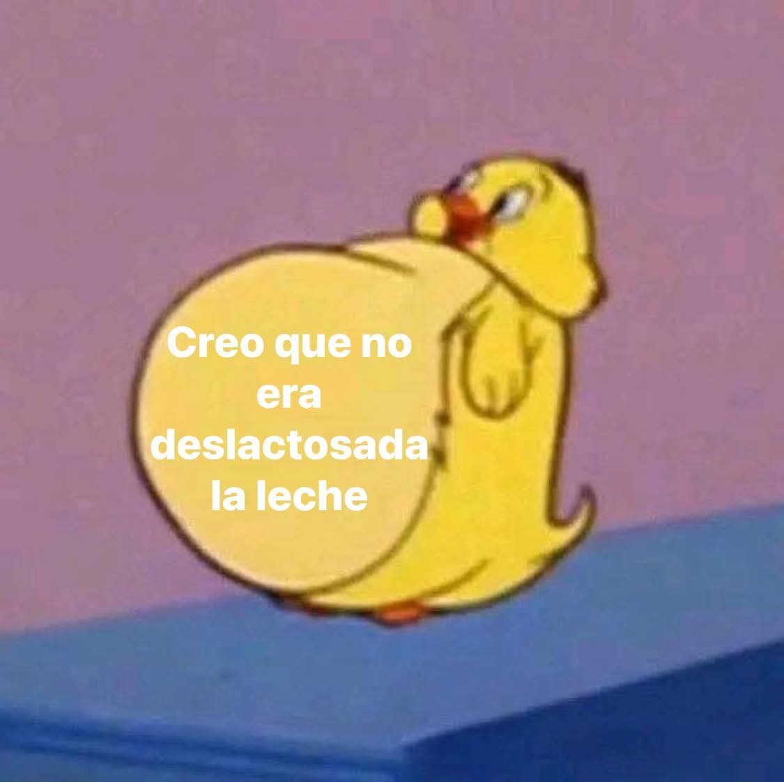 Animalesaprieto's tweet image. 