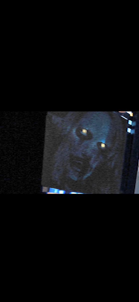 Ermwhatthe24201's tweet image. Might draw something later …#fnaf2movie #fnaf2  #puppetFNAF #abbyfnaf