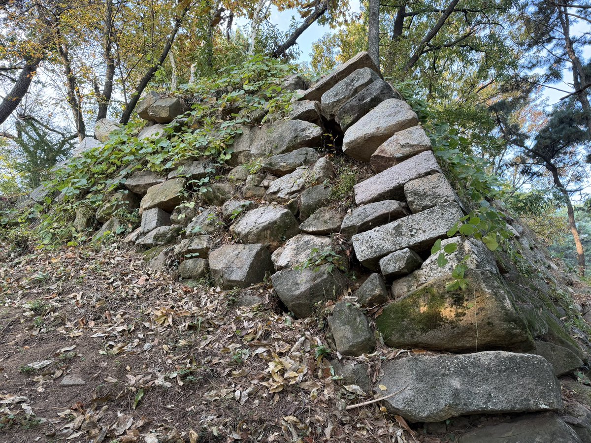 BackInMusashi's tweet image. 金海竹島倭城、上から見たことはありましたが歩くのは初めてです。一直線の長〜い北城壁が思ったより残りが良くて見応えありました。