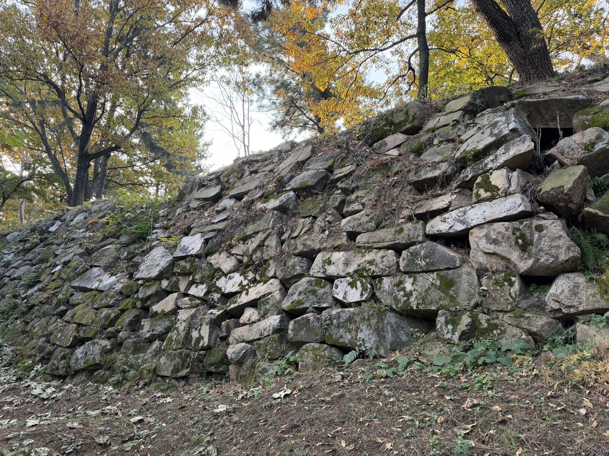 BackInMusashi's tweet image. 金海竹島倭城、上から見たことはありましたが歩くのは初めてです。一直線の長〜い北城壁が思ったより残りが良くて見応えありました。