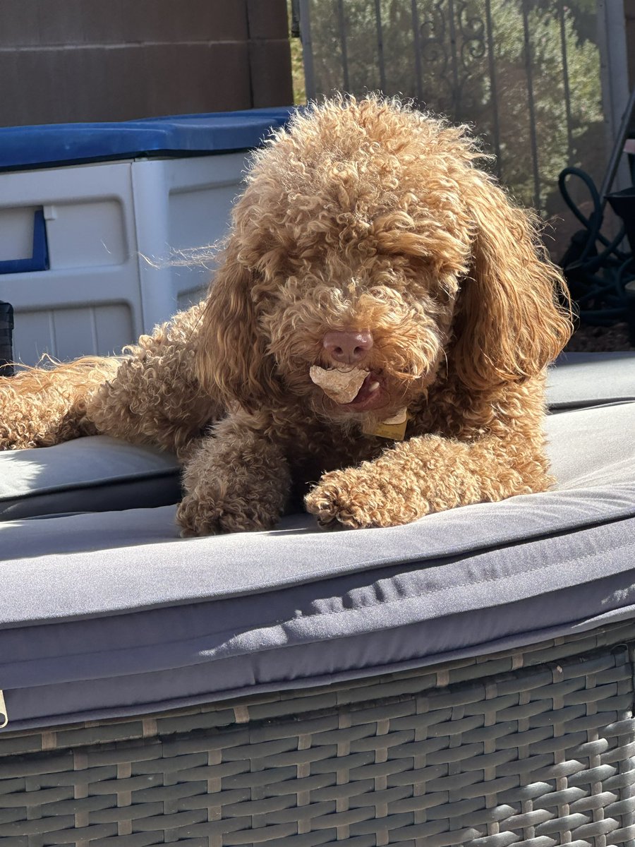 Mark Byars 🇺🇸 tweet media