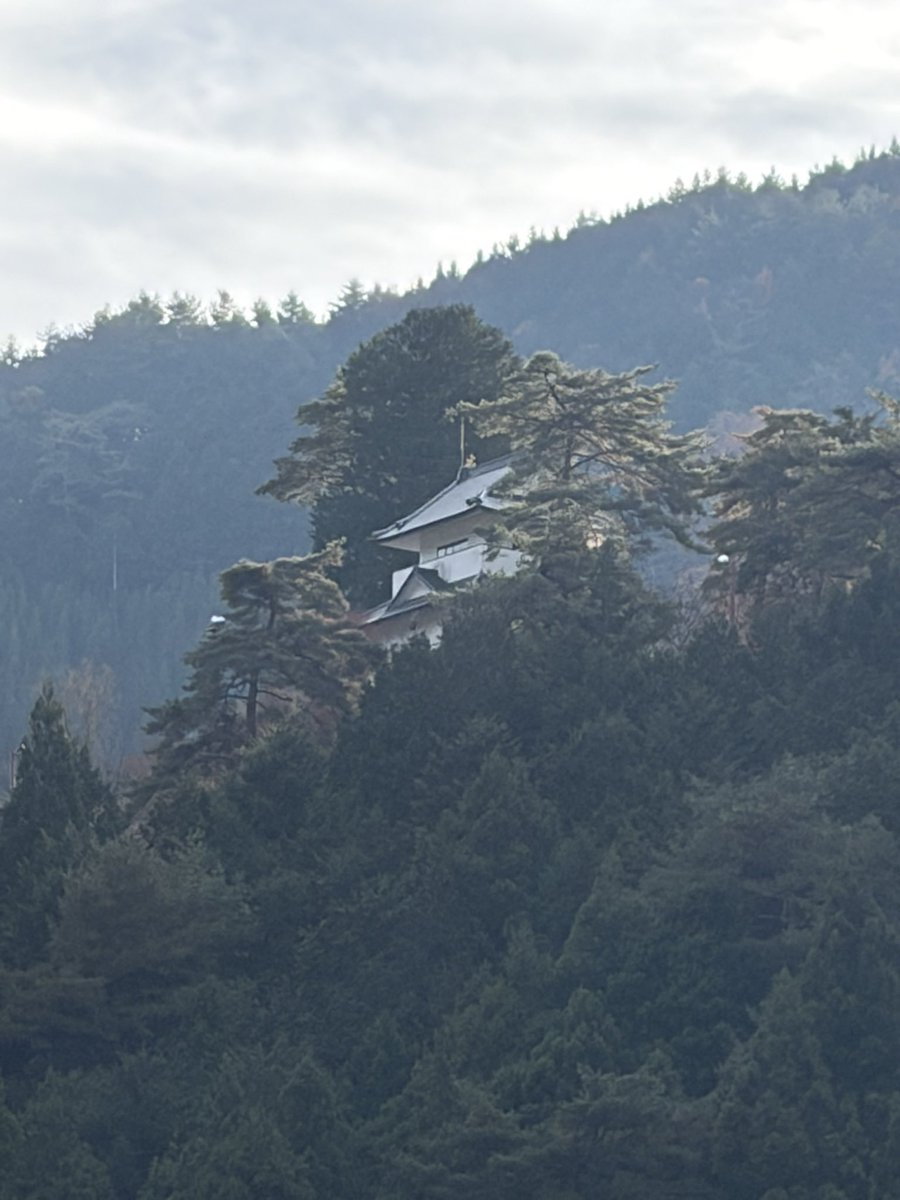 1221ookami's tweet image. おはようございます😃
#いまここ