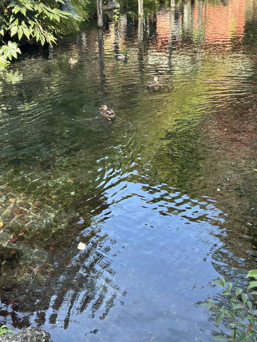 2_uqb's tweet image. あ◯んぽ