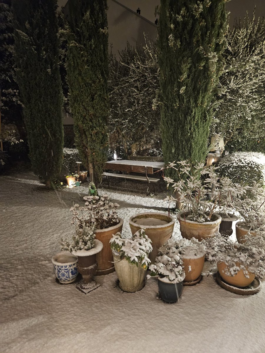 Arnaud DupuiCasteres tweet media