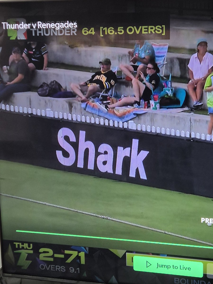 Plubby's tweet image. Random Bruins jersey in the crowd at an Australian women's cricket league game @PeteBlackburn