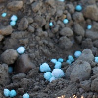 Einigung zwischen K+S und BUND im Grundwasserschutz-Streit / 23.11.2025 dlvr.it/TPQBk1