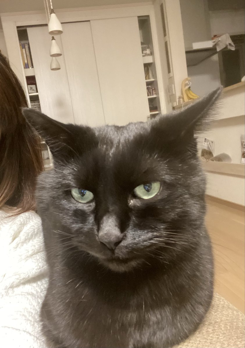 おかあさんといっしょ