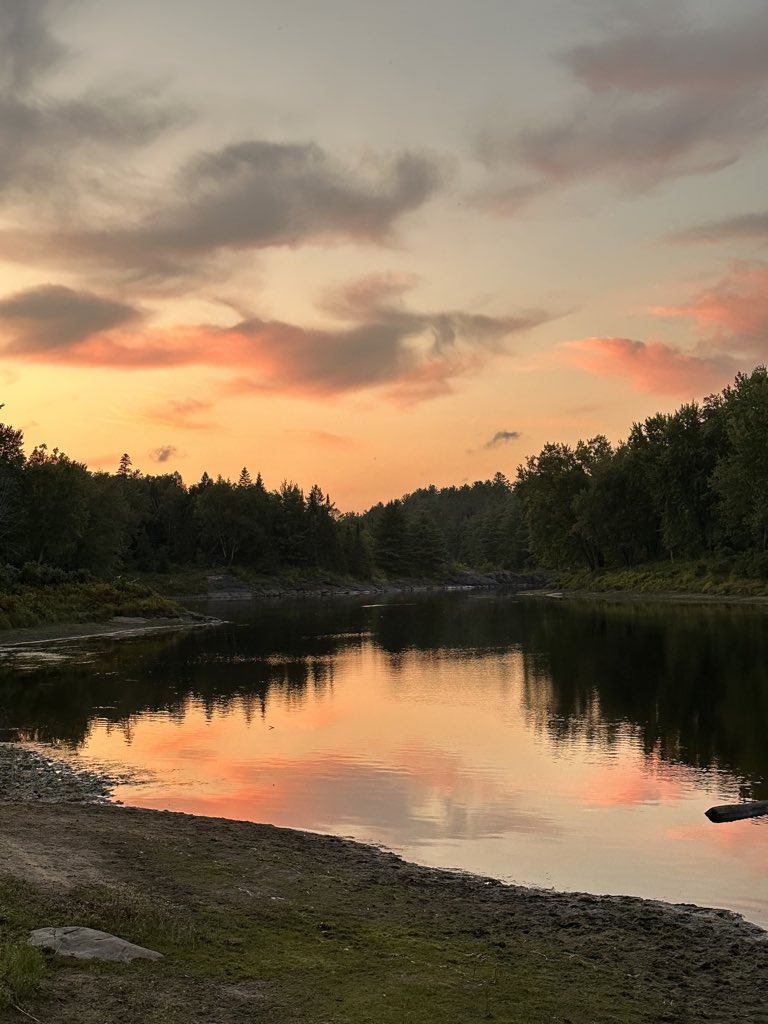 Mikesjournal's tweet image. iPhone 14