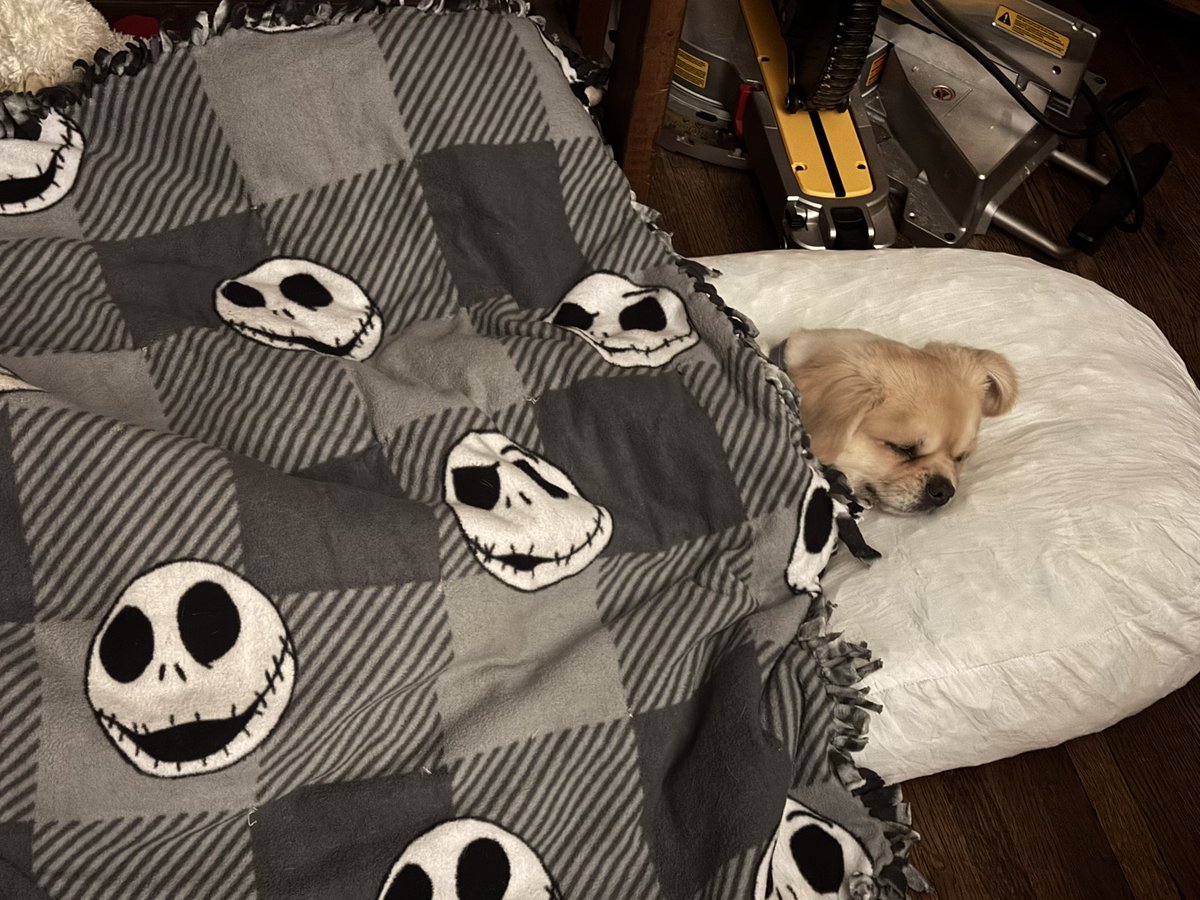 He’s a little spoiled but he’s also a little old man who deserves it.