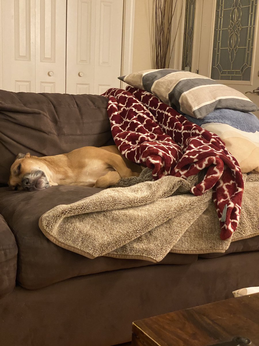 Susan Westwater tweet media