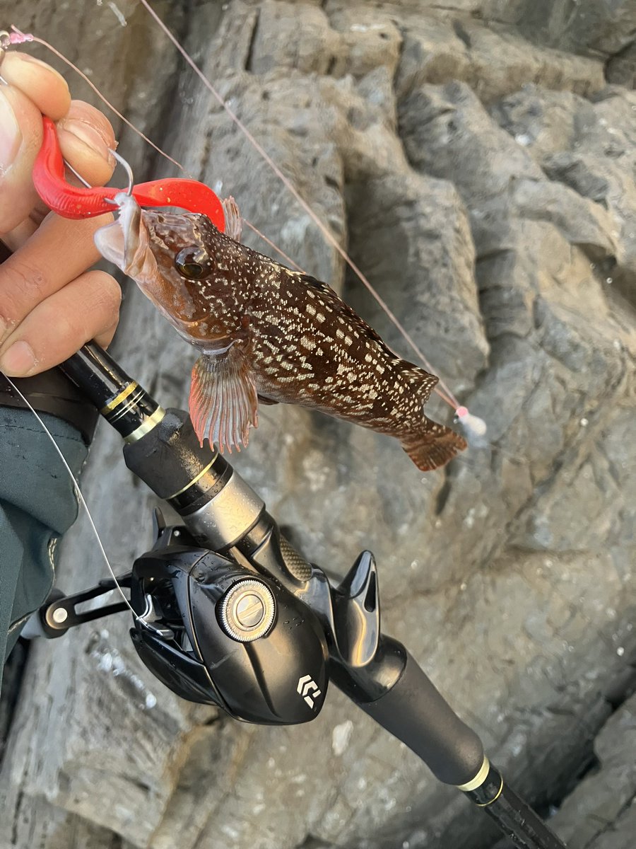 てった tweet media