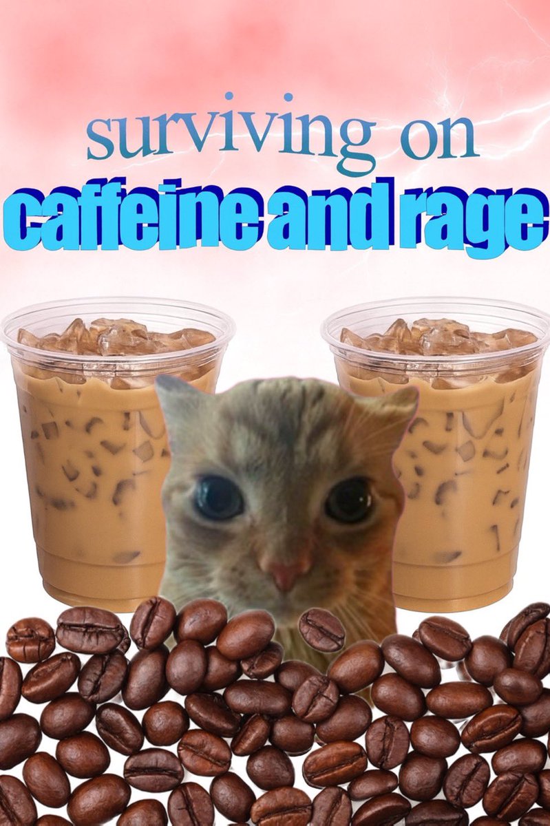 gakstercat's tweet image. 