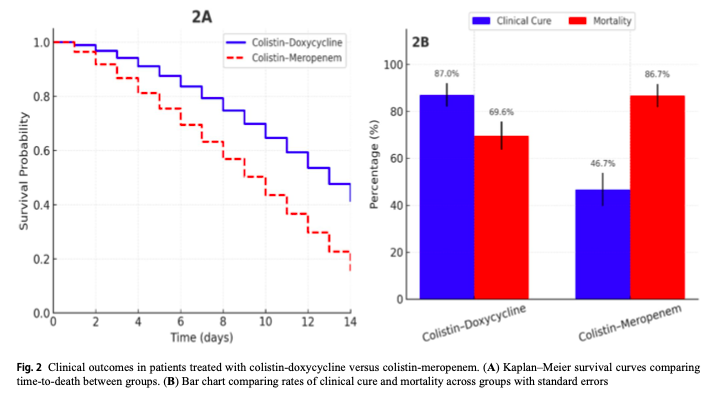AliSMV7's tweet photo. Efficacy and safety of colistin–doxycycline combination therapy in multi-drug resistance Gram-negative infections: a double-blind randomized controlled trial

https://t.co/0jKdc796uM https://t.co/o1X67uQI5m