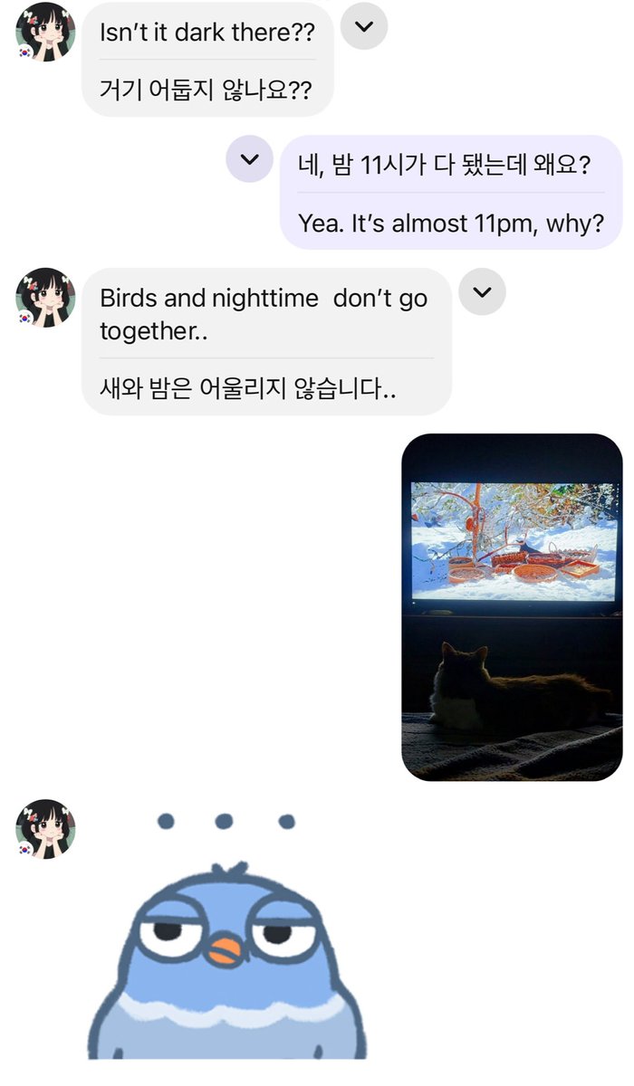 hiphip_0801's tweet photo. Buttt Cat TV is actually kinda fire 🔥 
#hellotalkfriend #languagepartner #hellotalk #WINTER https://t.co/PWIfNCD59V